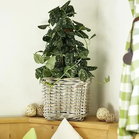 Chalet Aichner בית נופש מיטרסיל