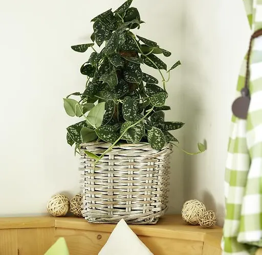 Chalet Aichner Casa de Férias Mittersill